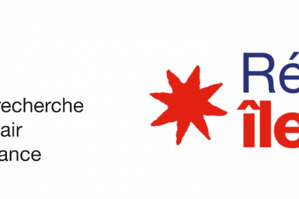Logos DIM _ IDF
