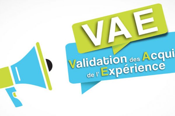 vae33823